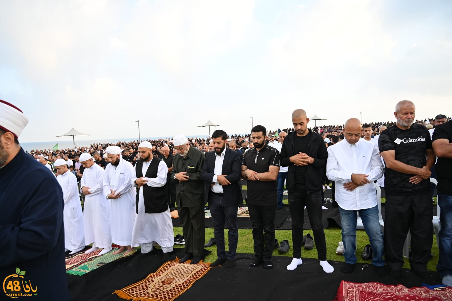 WhatsApp Image 2023-06-28 at 5.41.42 PM (2).jpeg